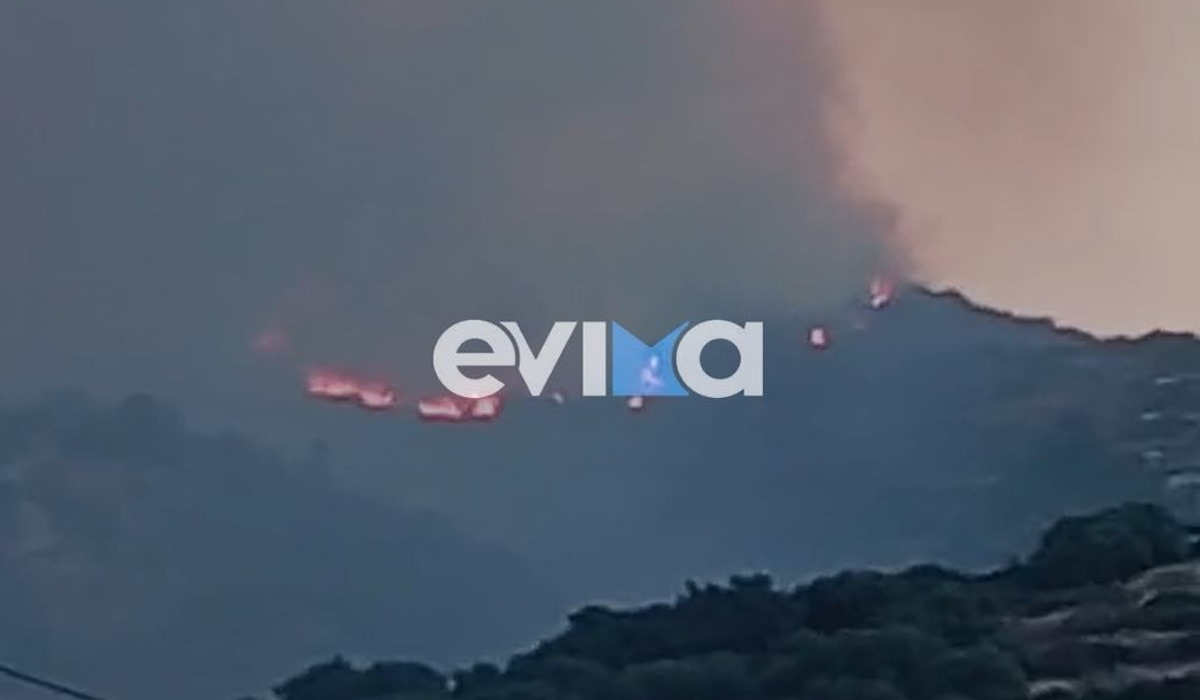 Φωτιά σε χαμηλή βλάστηση