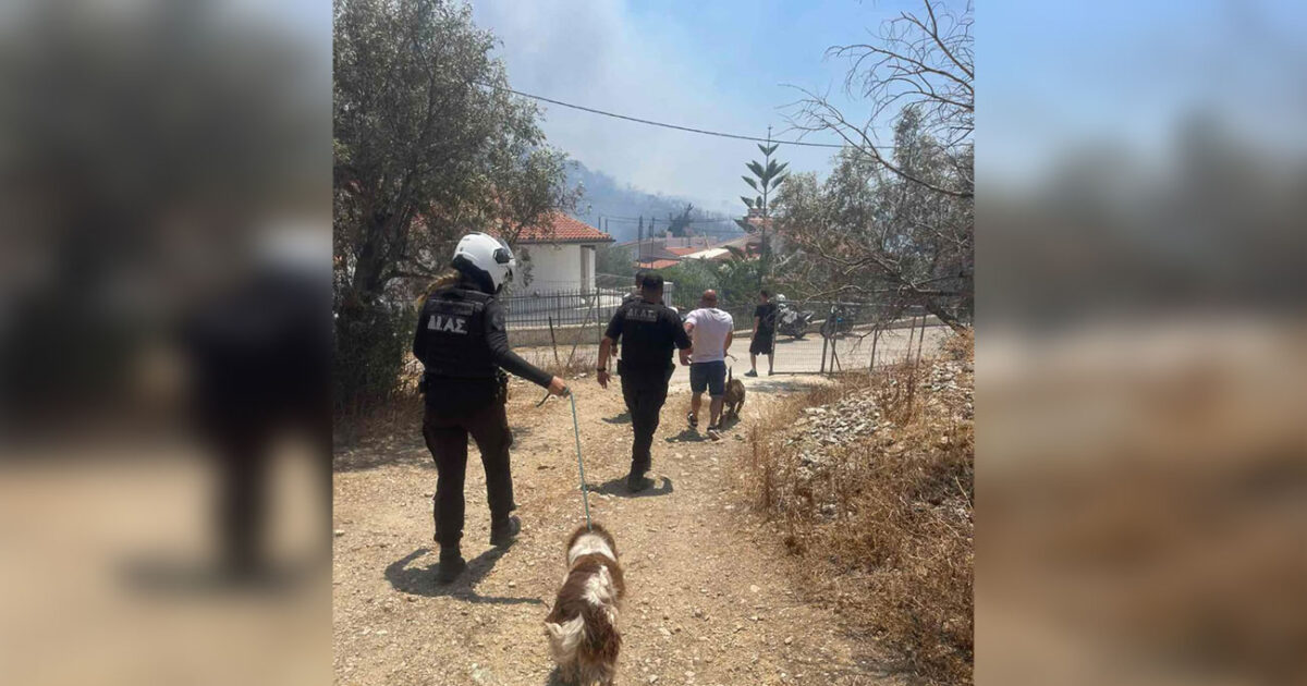 Fire in Thyme: Frame – Frame The Removal of Residents