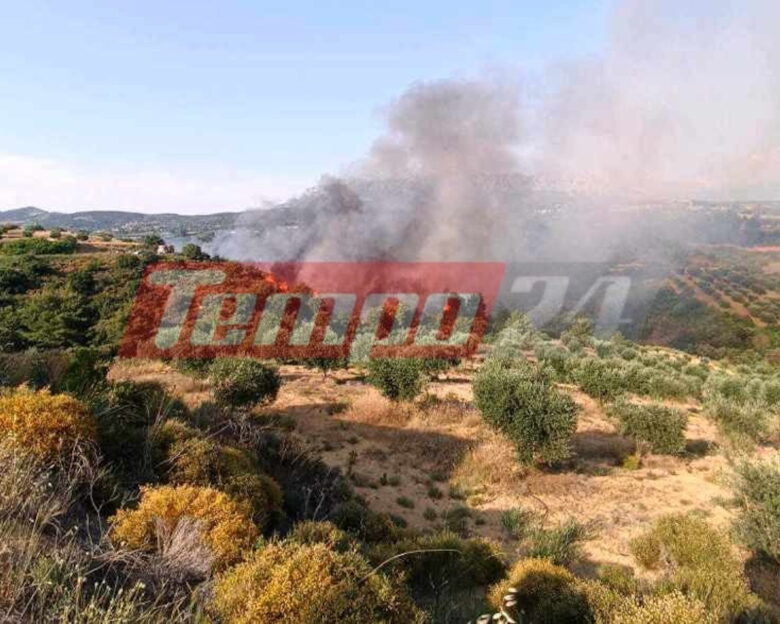 Φωτιά στις Κάτω Βελίτσες στην Αχαΐα: Σηκώθηκαν 2 ελικόπτερα και ένα αεροσκάφος