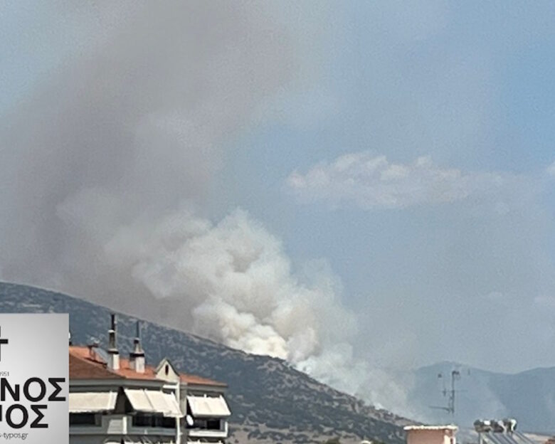 Φωτιά στη Δράμα στην περιοχή Χωριστή: Σηκώθηκαν 8 αεροσκάφη