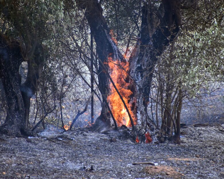 Καιρός: Ισχυροί άνεμοι και απουσία βροχών αυξάνουν τον κίνδυνο πυρκαγιάς – Ο φετινός Ιούνιος δεν θα έχει καμία σχέση με τον περσινό