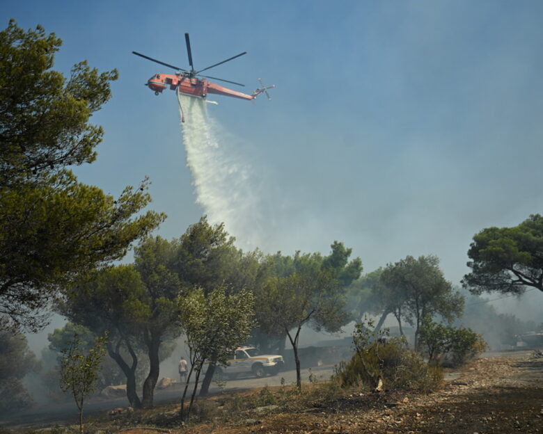 Φωτιά σε δασική έκταση στη Φωκίδα: Ισχυρές πυροσβεστικές δυνάμεις στο σημείο