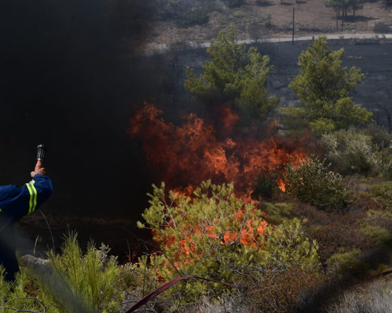 Φωτιά σε δάσος στο Λευκόχωμα Λακωνίας: Μήνυμα από το 112 στους κατοίκους
