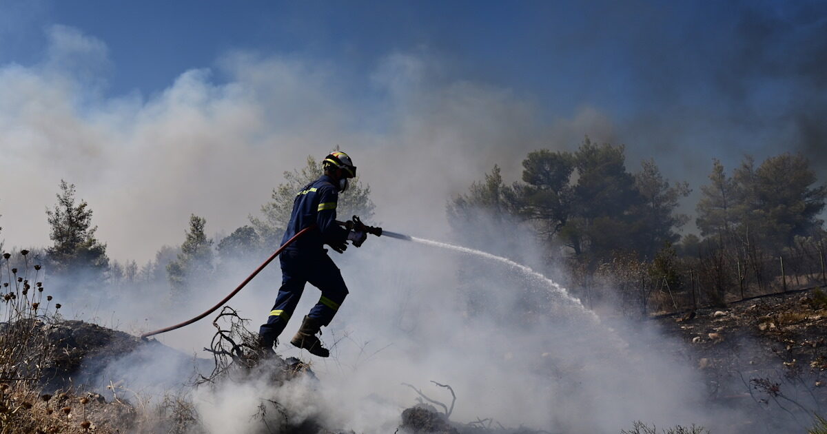 Φωτιά σε δασική έκταση στη Στεφάνη Βοιωτίας: Επιχειρούν ισχυρές πυροσβεστικές δυνάμεις, στη μάχη και εναέρια μέσα