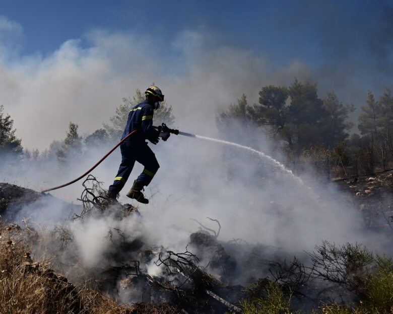 Φωτιά σε δασική έκταση στη Στεφάνη Βοιωτίας: Επιχειρούν ισχυρές πυροσβεστικές δυνάμεις, στη μάχη και εναέρια μέσα
