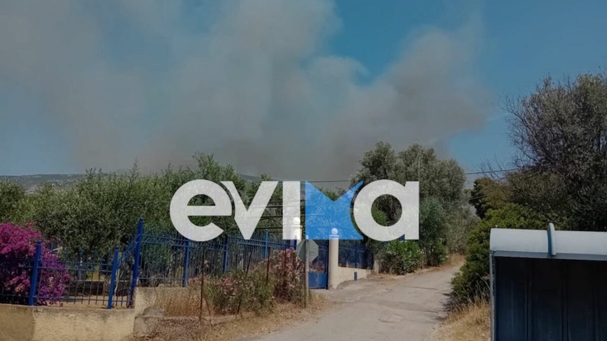 Φωτιά στην Εύβοια