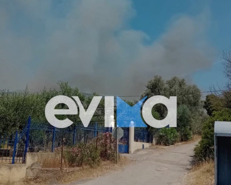 Φωτιά στην Εύβοια κοντά στην Ερέτρια: Ισχυρές δυνάμεις της Πυροσβεστικής – Ήχησε το 112