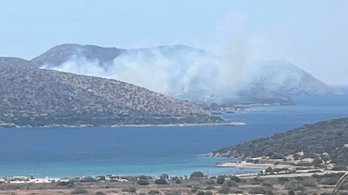 Φωτιά στην Παλαιά Φώκαια