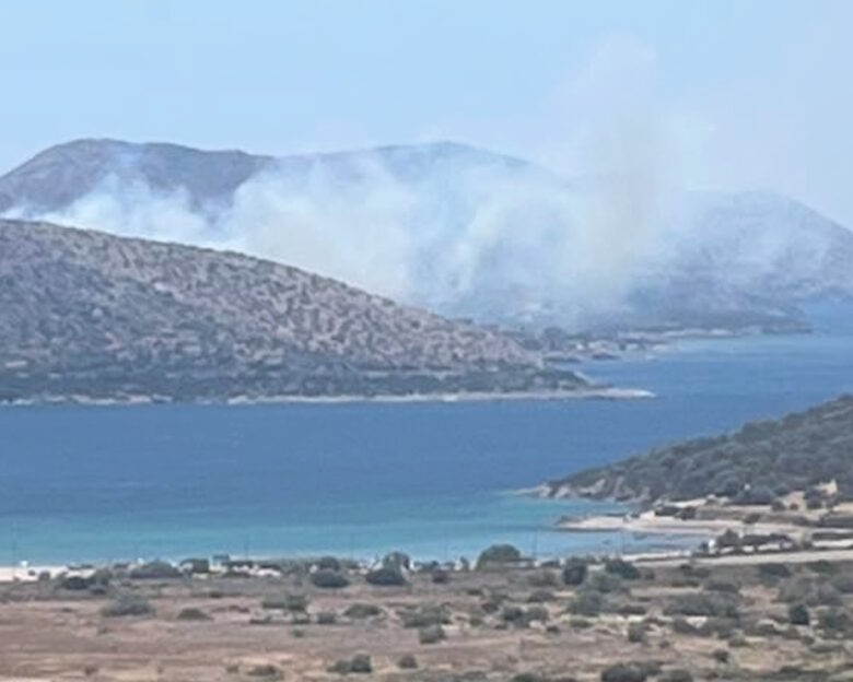 Φωτιά στην Παλαιά Φώκαια – «Απομακρυνθείτε προς Λαγονήσι» το μήνυμα από το 112