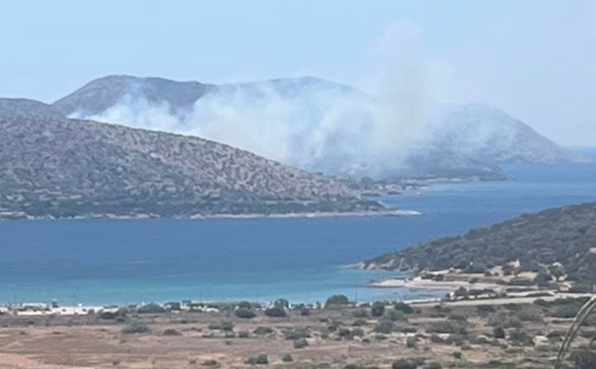 Φωτιά στην Παλαιά Φώκαια