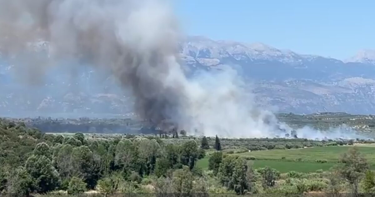 Φωτιά σε δάσος στο Λευκόχωμα Λακωνίας: Μήνυμα από το 112 στους κατοίκους