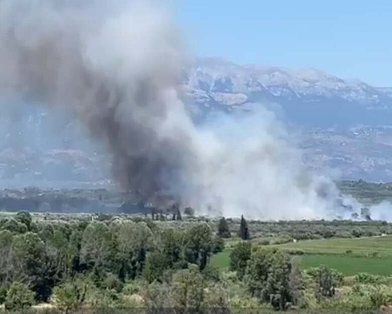 Φωτιά σε δάσος στο Λευκόχωμα Λακωνίας: Μήνυμα από το 112 στους κατοίκους