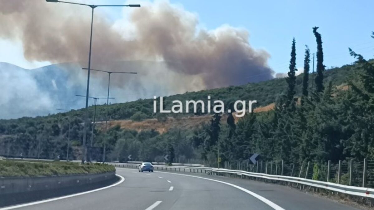 Φωτιά στην περιοχή Αχλάδι
