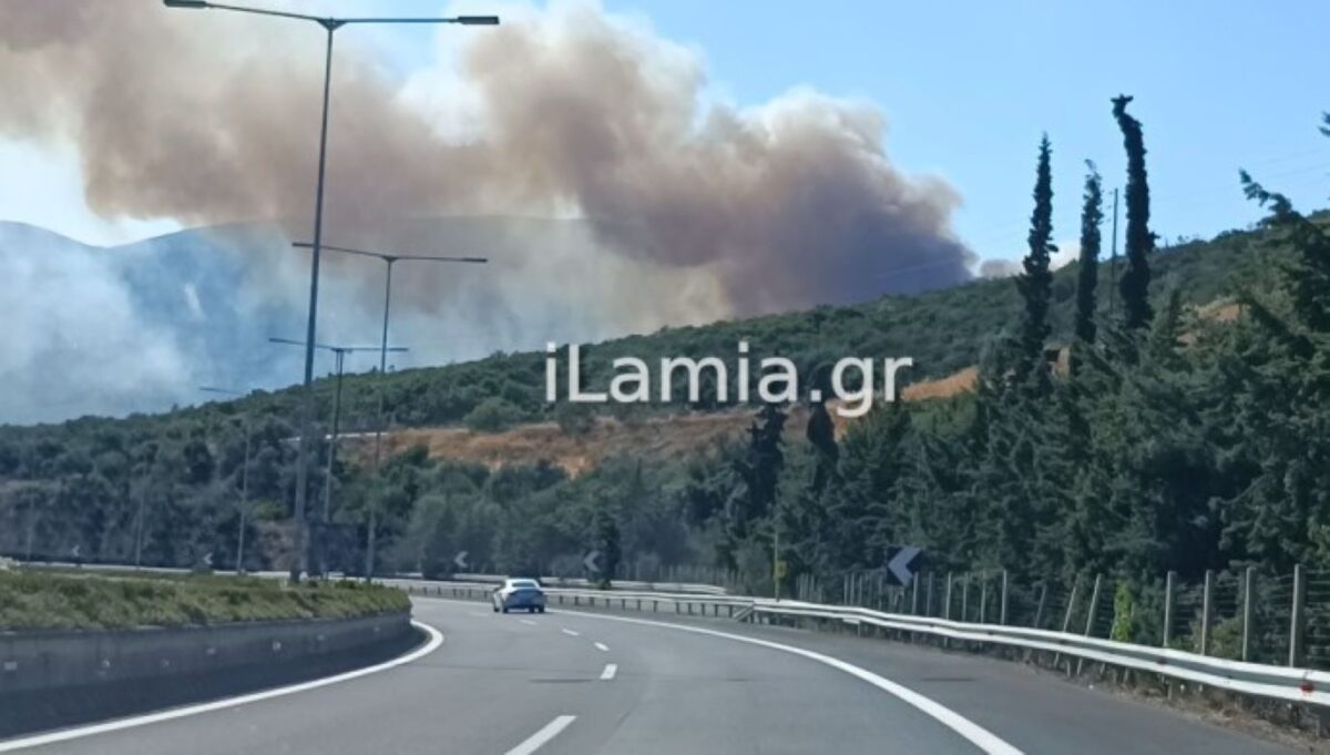 Φωτιά στην περιοχή Αχλάδι