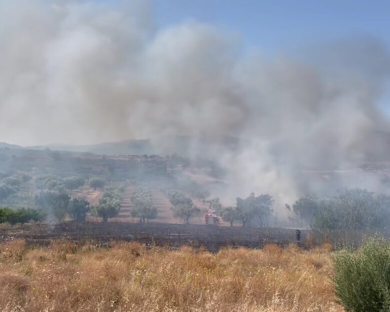 Φωτιά στα Μέγαρα σε χαμηλή βλάστηση στην περιοχή Χάνι