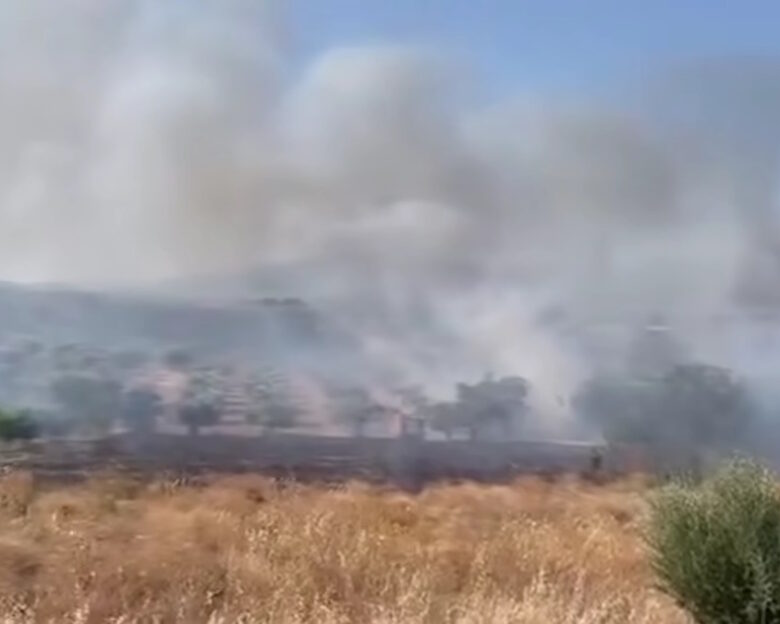 Φωτιά στα Μέγαρα σε χαμηλή βλάστηση στην περιοχή Χάνι