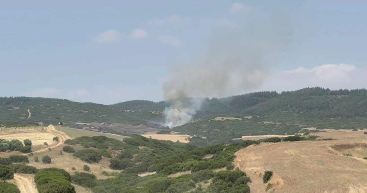 Φωτιά στο Ωραιόκαστρο Θεσσαλονίκης: Σηκώθηκαν 5 αεροσκάφη