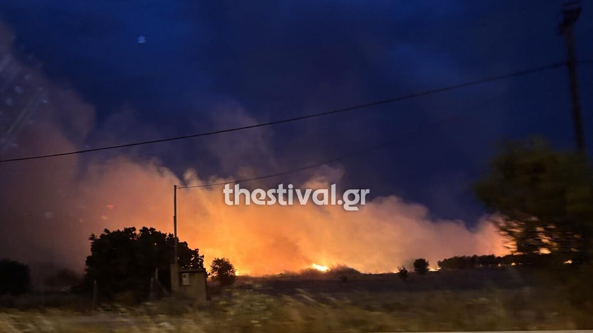 Φωτιά στο Ρύσιο