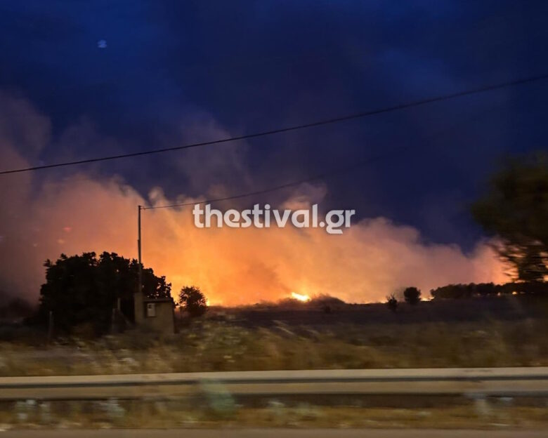 Τρεις εστίες φωτιάς στη Θεσσαλονίκη σε σε Δρυμό, Νέο Ρύσιο και Λακκιά – Εικόνες από τα σημεία της πυρκαγιάς