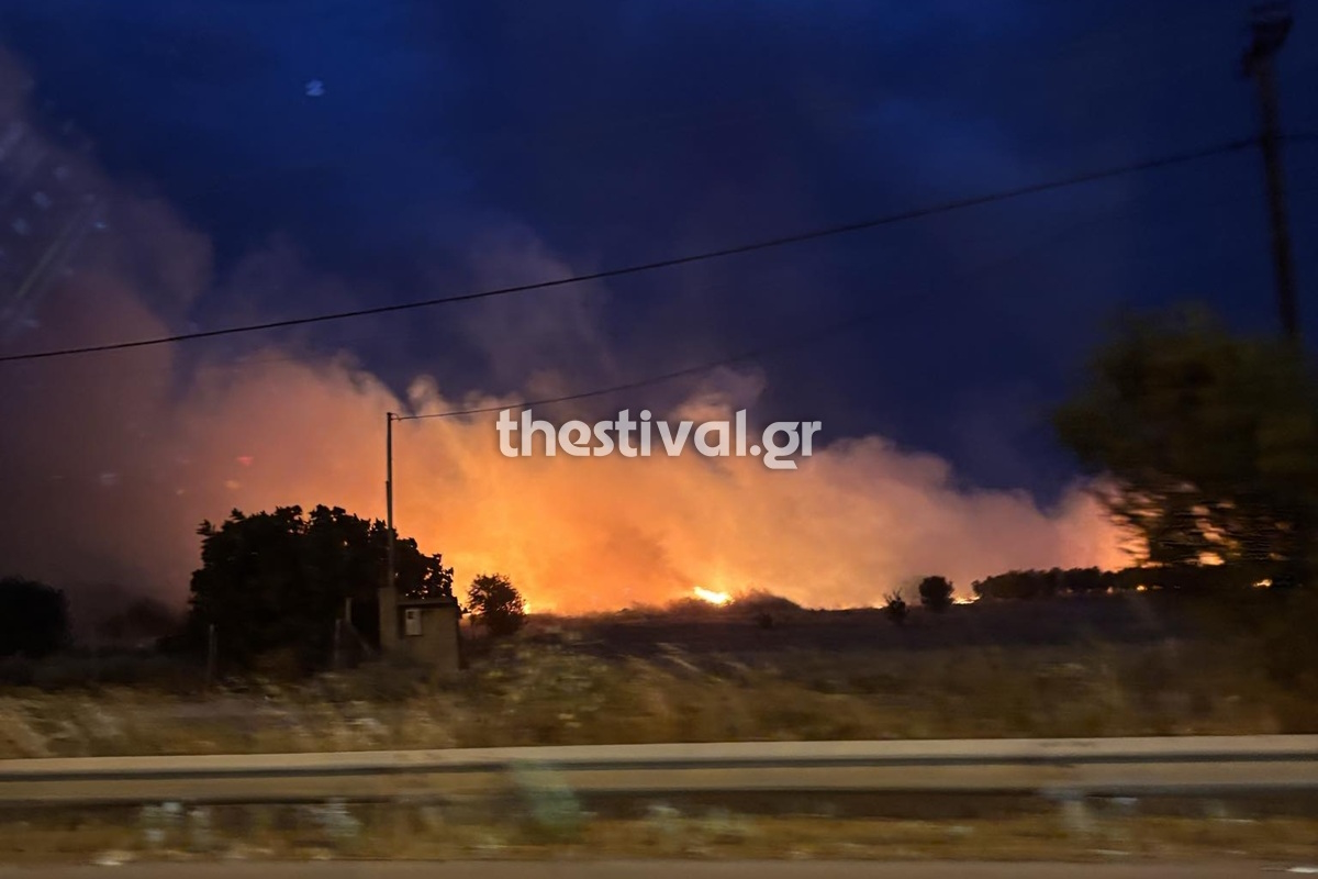 Φωτιά στο Ρύσιο