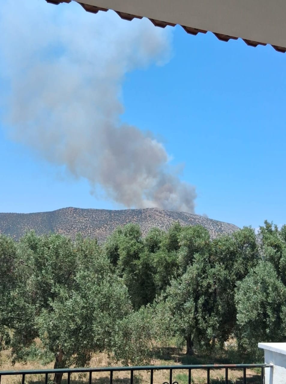 Φωτιά στο Άνω Σούλι