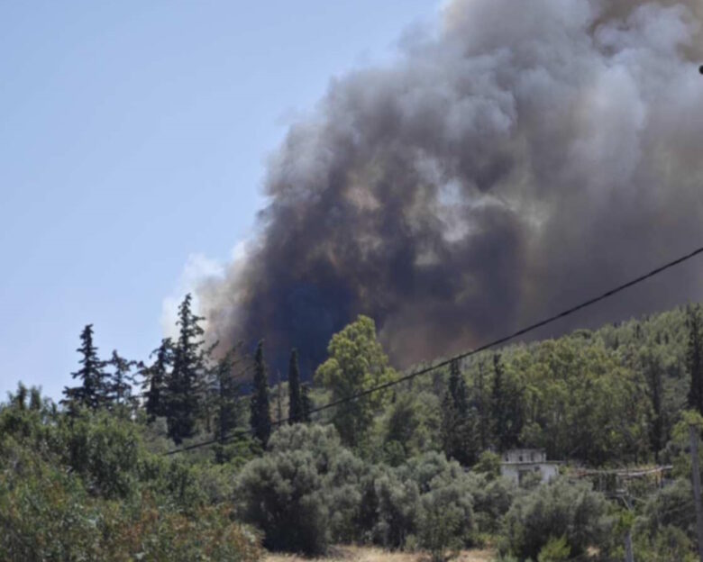 Φωτιά στο Άνω Σούλι Μαραθώνα: Ήχησε το 112 – «Απομακρυνθείτε προς Γραμματικό και Νέα Μάκρη»