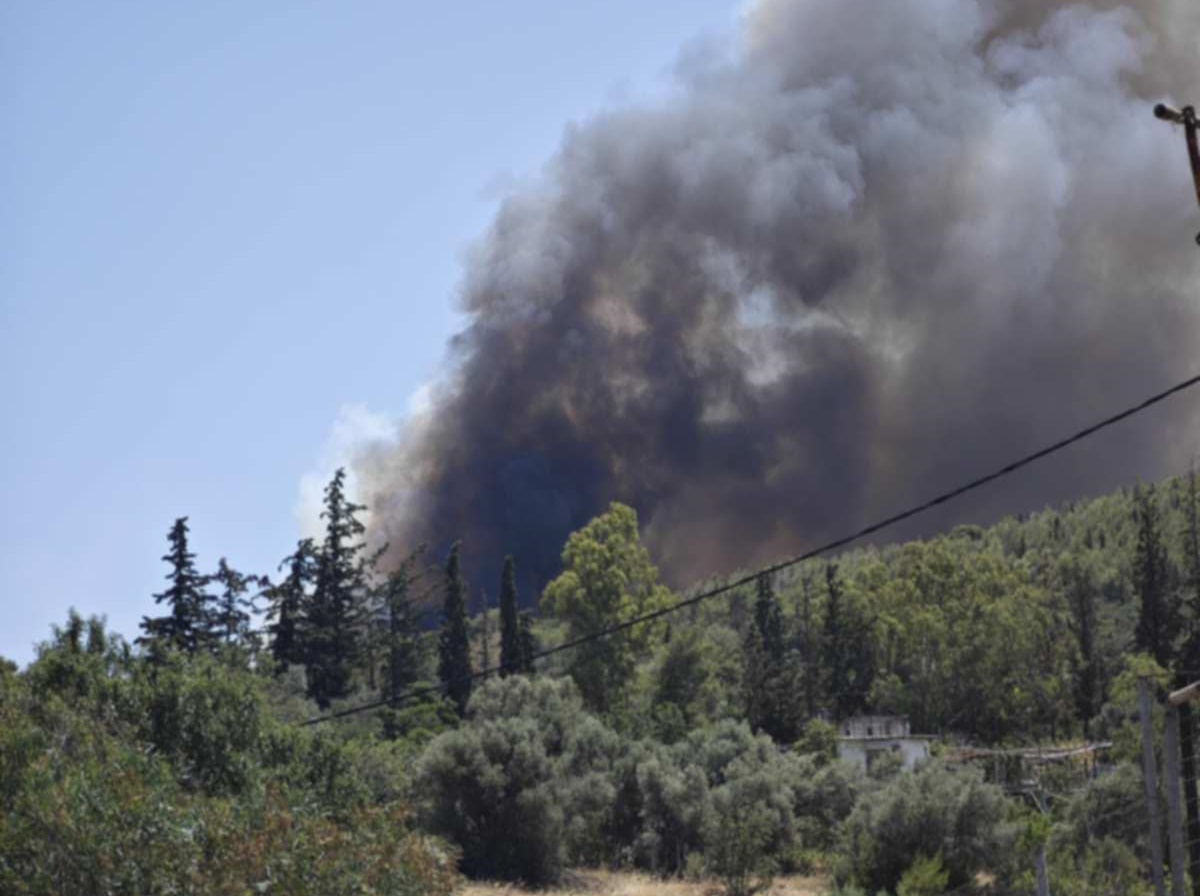 Φωτιά στο Άνω Σούλι Μαραθώνα: Ήχησε το 112 – «Απομακρυνθείτε προς Γραμματικό και Νέα Μάκρη»
