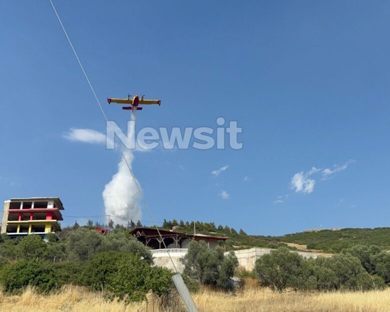 Φωτιά στη Θεσσαλονίκη πίσω από το νοσοκομείο «Παπαγεωργίου» – Καίει κοντά σε σπίτια, ήχησε το 112