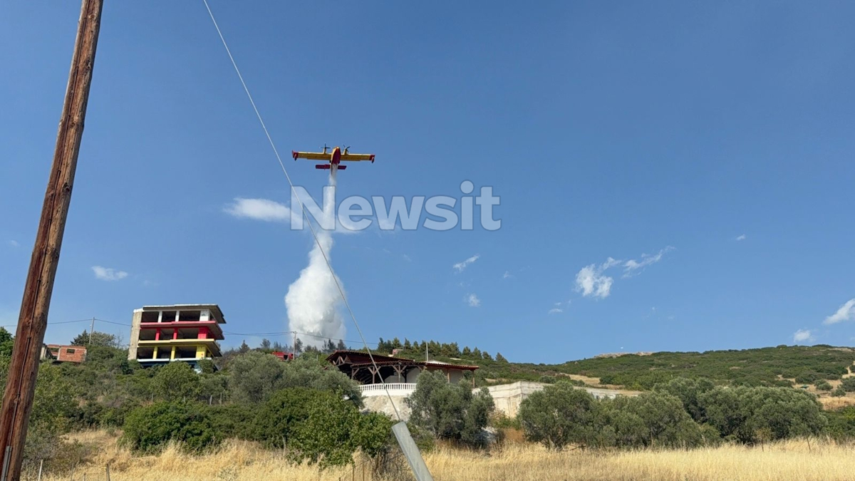 Φωτιά στη Θεσσαλονίκη πίσω από το νοσοκομείο Παπαγεωργίου