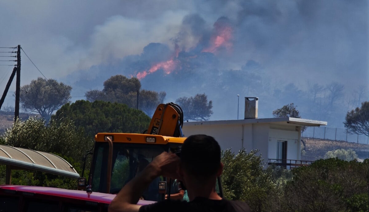 Φωτιά στο Θυμάρι της Παλαιάς Φώκαιας