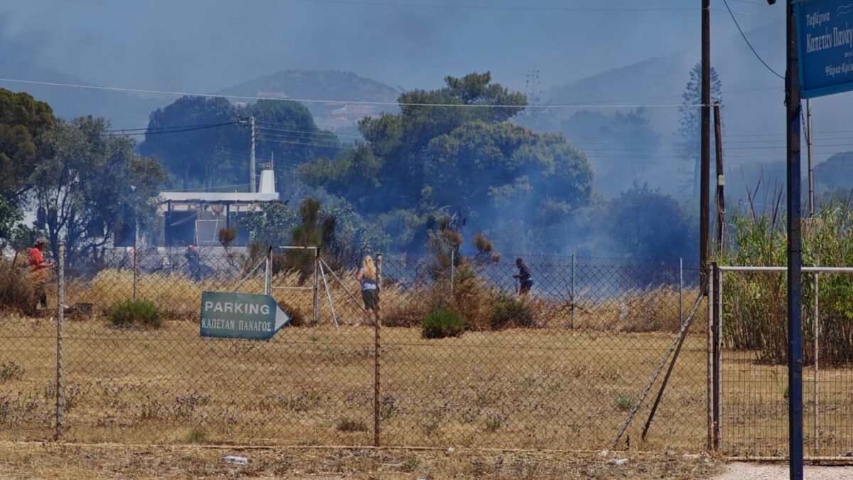 Φωτιά στο Θυμάρι της Παλαιάς Φώκαιας