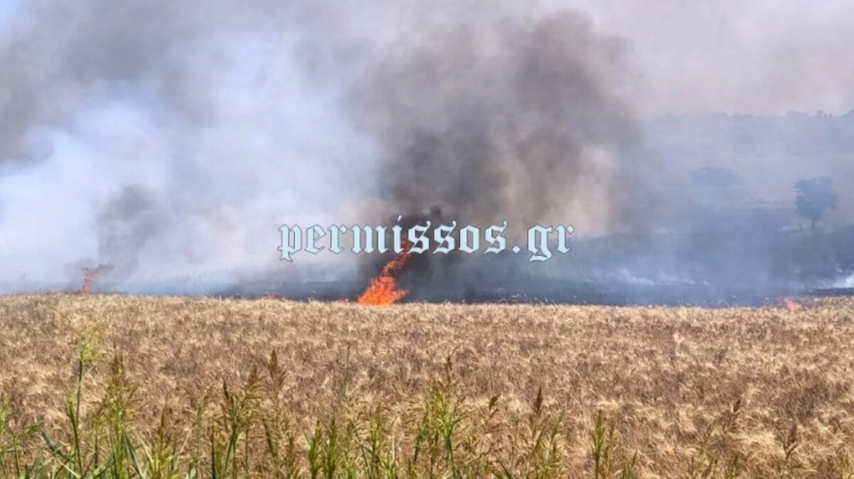 Η φωτιά κατακαίει αγροτοδασική έκταση