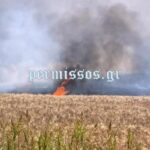 Η φωτιά κατακαίει αγροτοδασική έκταση
