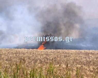 Η φωτιά κατακαίει αγροτοδασική έκταση