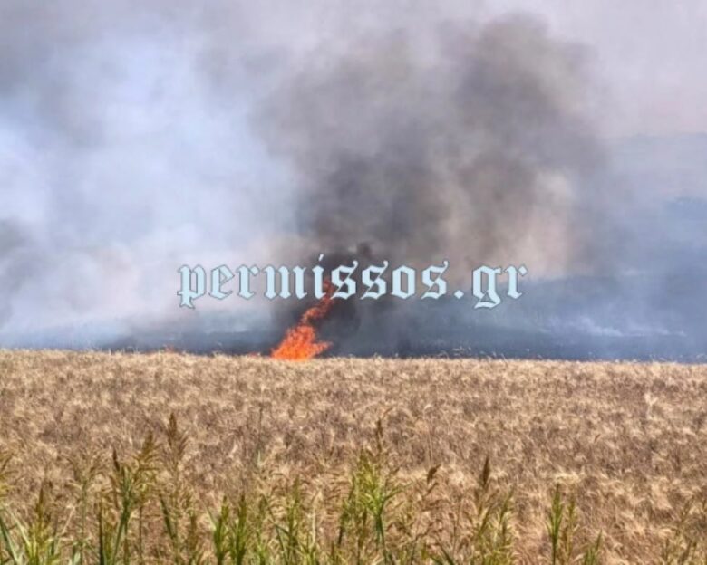 Φωτιά στο Λεοντάρι Βοιωτίας – Επιχειρούν 3 αεροσκάφη