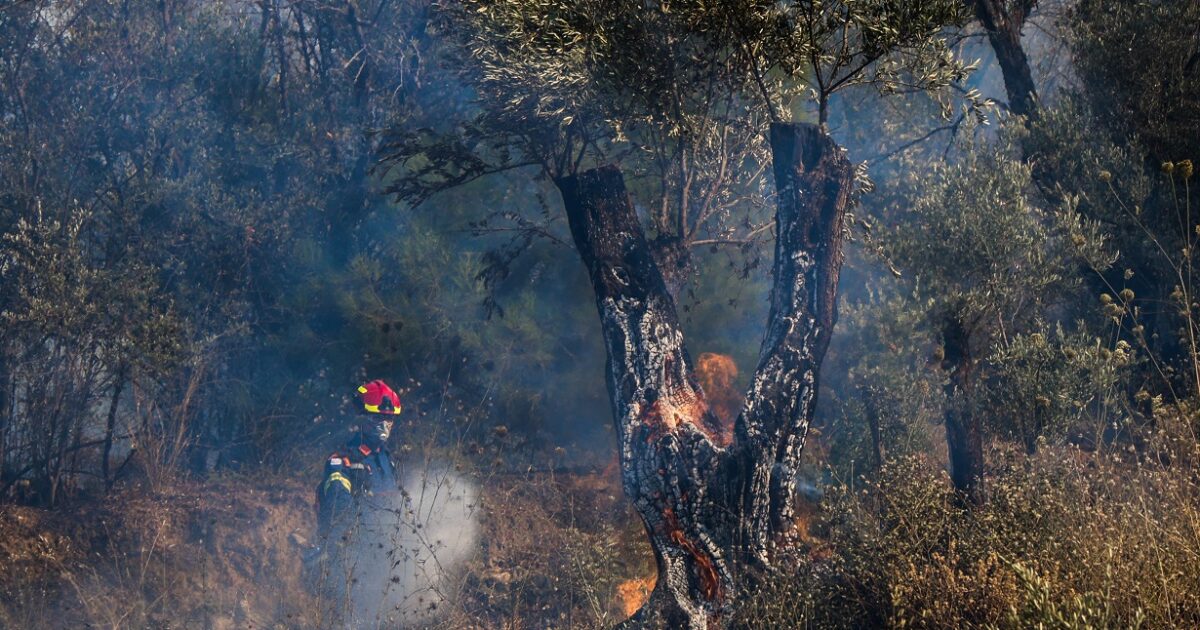 Φωτιά στη Μονεμβασιά: Δυο συλλήψεις για εμπρησμό – Έκαναν εργασίες με τροχό σε οικοδομή