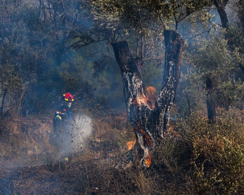 Φωτιά στη Μονεμβασιά: Δυο συλλήψεις για εμπρησμό – Έκαναν εργασίες με τροχό σε οικοδομή