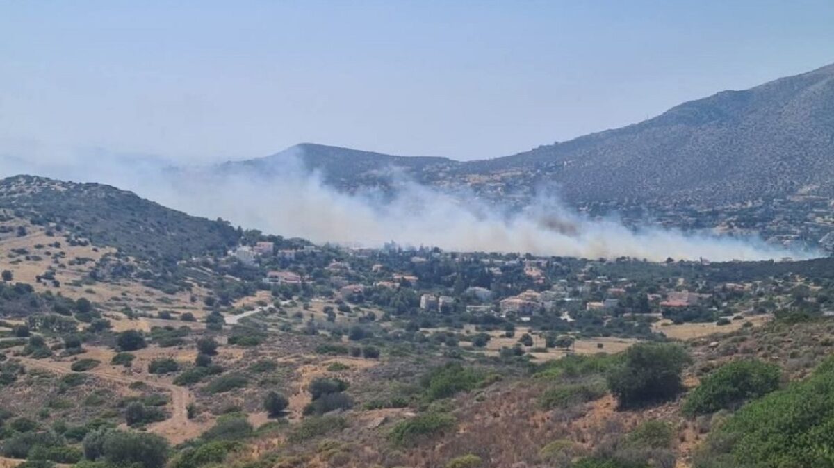 Φωτιά στην Ανάβυσσο