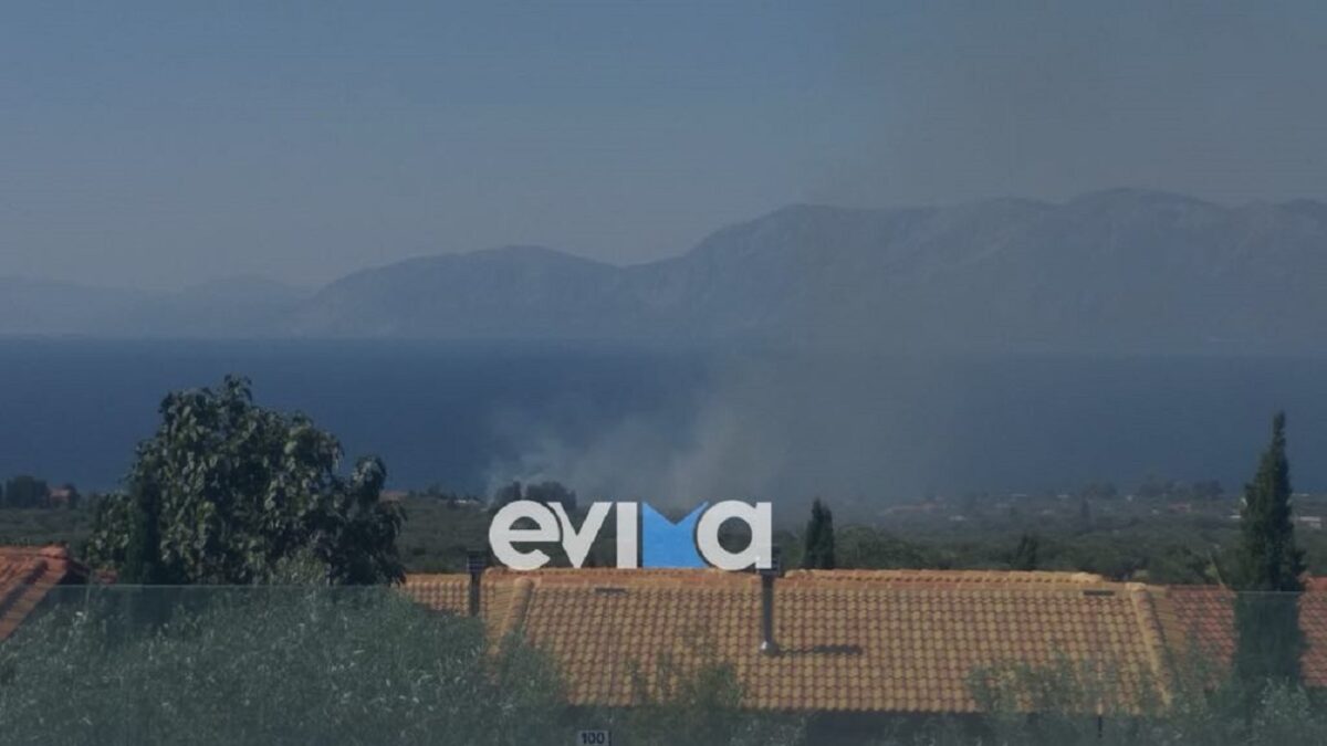 Φωτιά στην Εύβοια