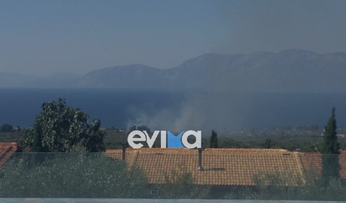 Φωτιά στην Εύβοια