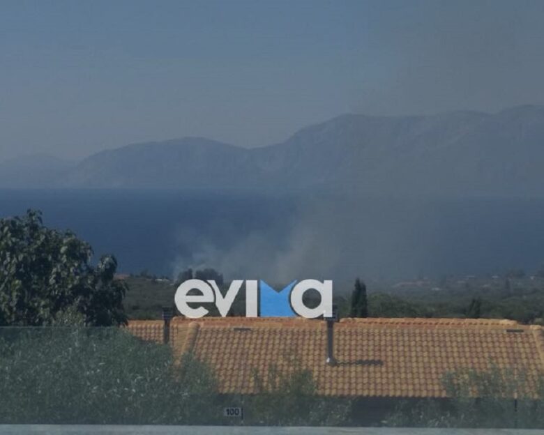 Φωτιά στην Εύβοια στην περιοχή Λουκίσια κοντά σε ξενοδοχεία