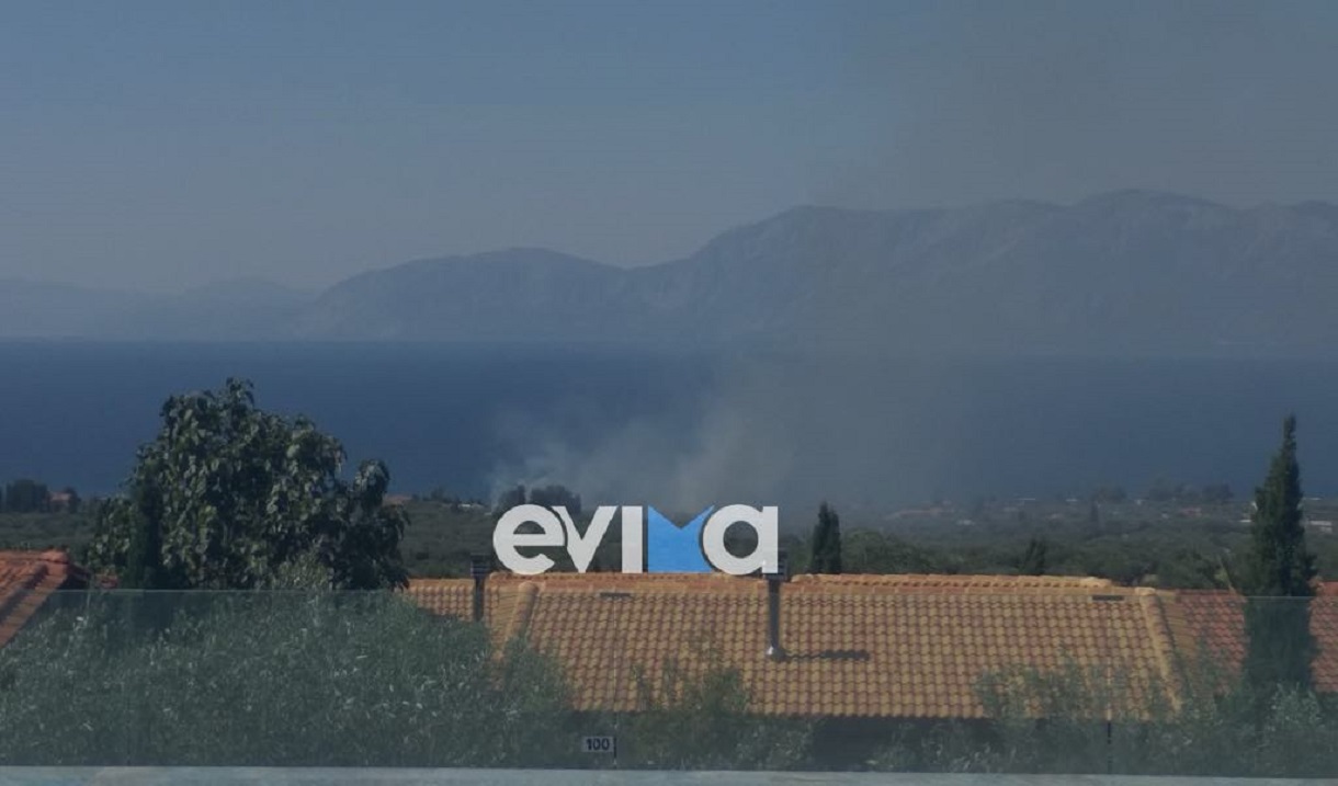 Φωτιά στην Εύβοια