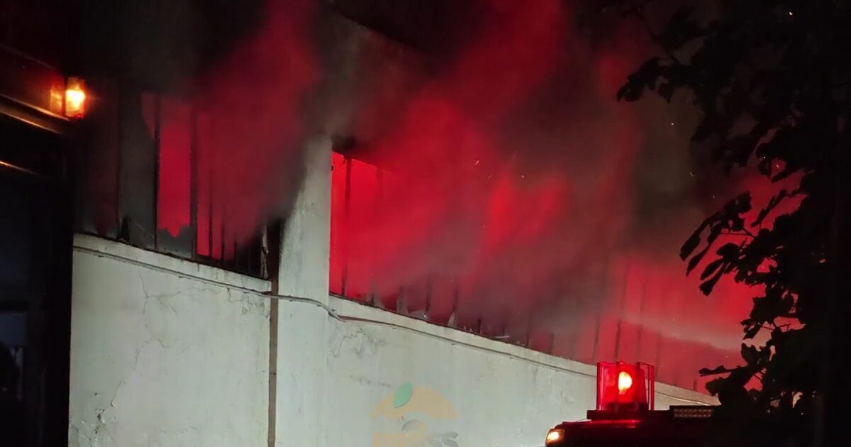 Fire in warehouses in Cologne – powerful forces at the point