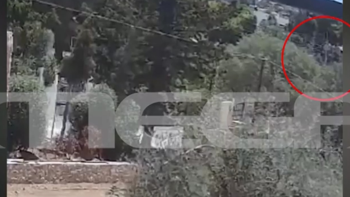 Φωτιά στην Παλαιά Φώκαια: Βίντεο ντοκουμέντο με το ξεκίνημα του πύρινου εφιάλτη από βραχυκύκλωμα σε καλώδια ηλεκτροδότησης