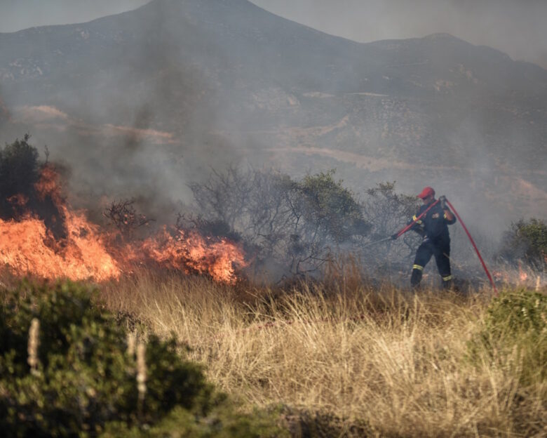 Φωτιά στον Δομοκό: Εναέρια μέσα παλεύουν με τις φλόγες στα Γαβράκια