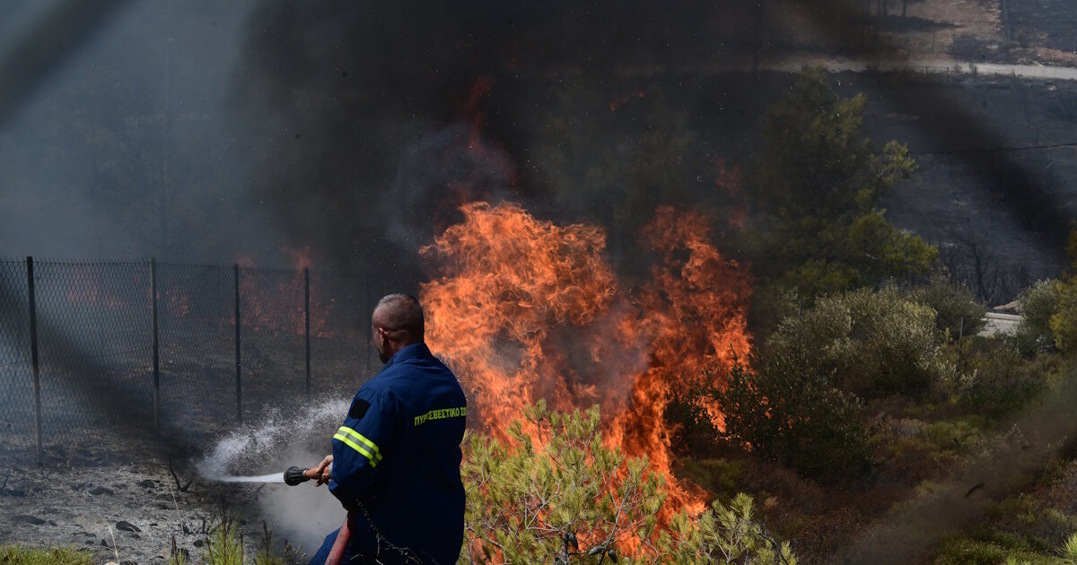Fire in Sitia in the Hamezi area – attempting aerial means