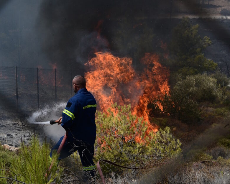 Φωτιά στη Λακωνία στην περιοχή Άγιος Νικόλαος: Πυροσβέστες και εναέρια μέσα παλεύουν με τις φλόγες