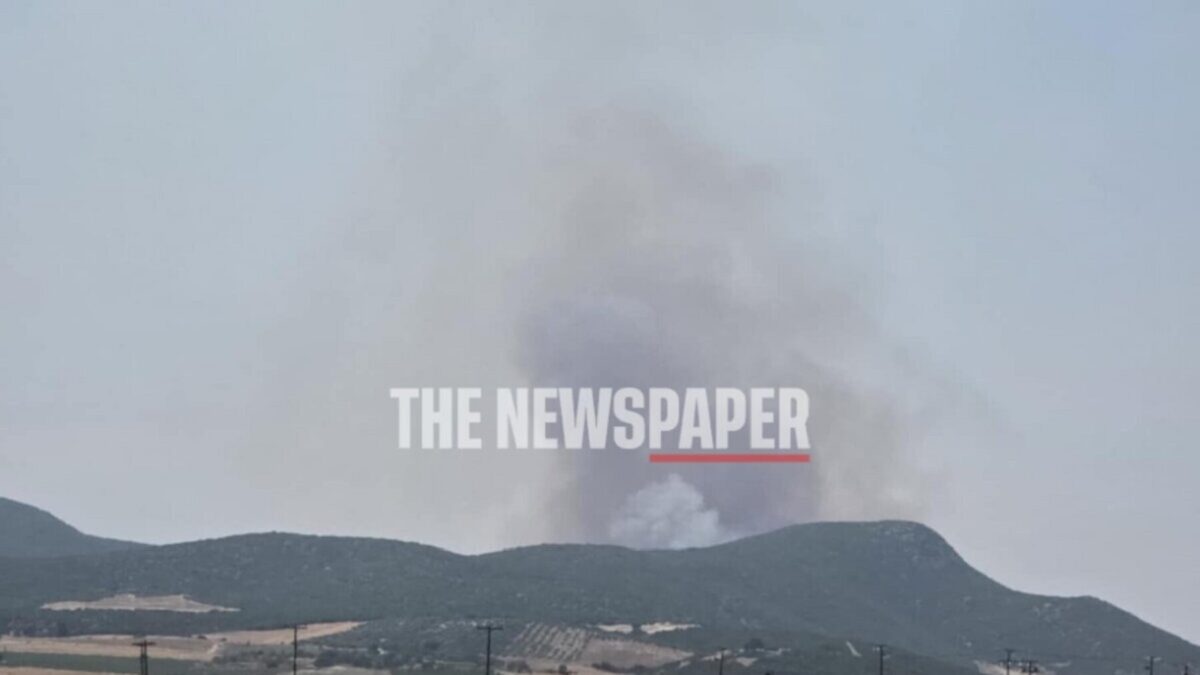 Φωτιά στη Θεσσαλία