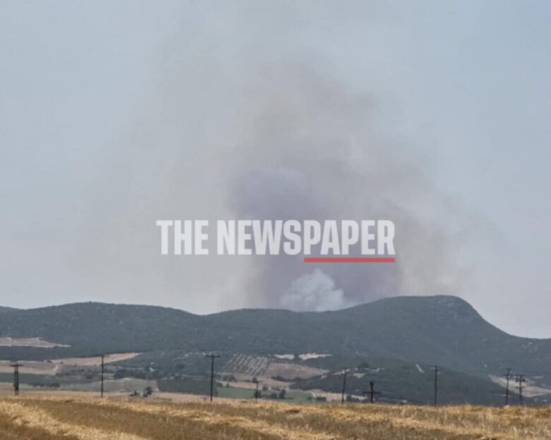 Φωτιά στην περιοχή Κοκκίνα στα όρια των νομών Μαγνησίας και Λάρισας