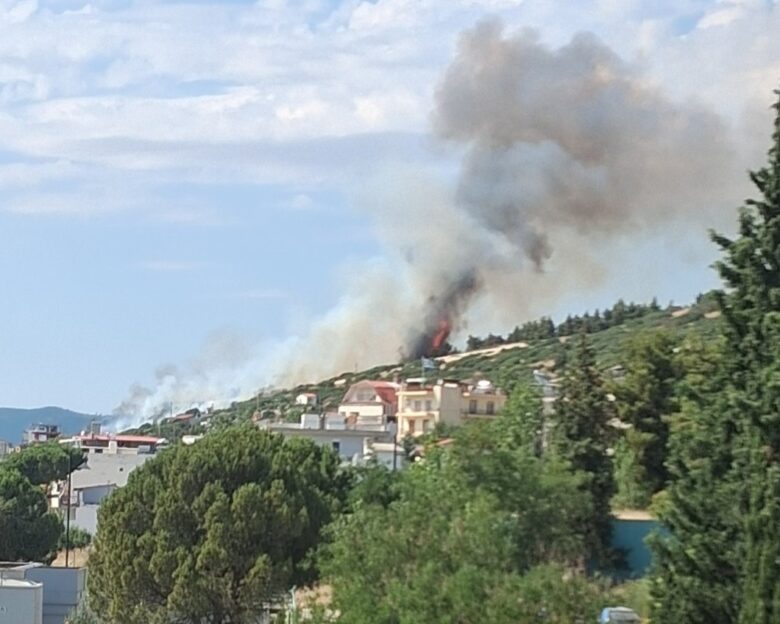 Φωτιά στη Θεσσαλονίκη πίσω από το νοσοκομείο «Παπαγεωργίου» – Καίει κοντά σε σπίτια, ήχησε το 112